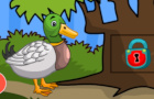 Giochi avventura : Duckling Rescue Series 1