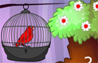 Giochi di carte : Red Bird Escape