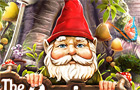 Giochi di carte : The Curious Gnome