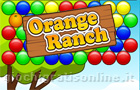 Giochi 3D : Orange Ranch