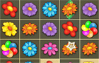 Giochi di puzzle : Blossom Garden Crush