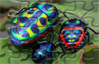 Giochi di puzzle : Disgusting Bugs