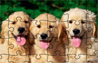 Giochi di puzzle : Jigsaw Puzzle: Doggies