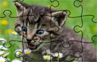 Giochi sport : Jigsaw Puzzle: Cats