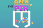 Giochi di puzzle : Open The Pin