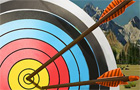 Giochi vari : Archery Training
