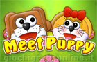 Giochi di carte : Meet Puppy